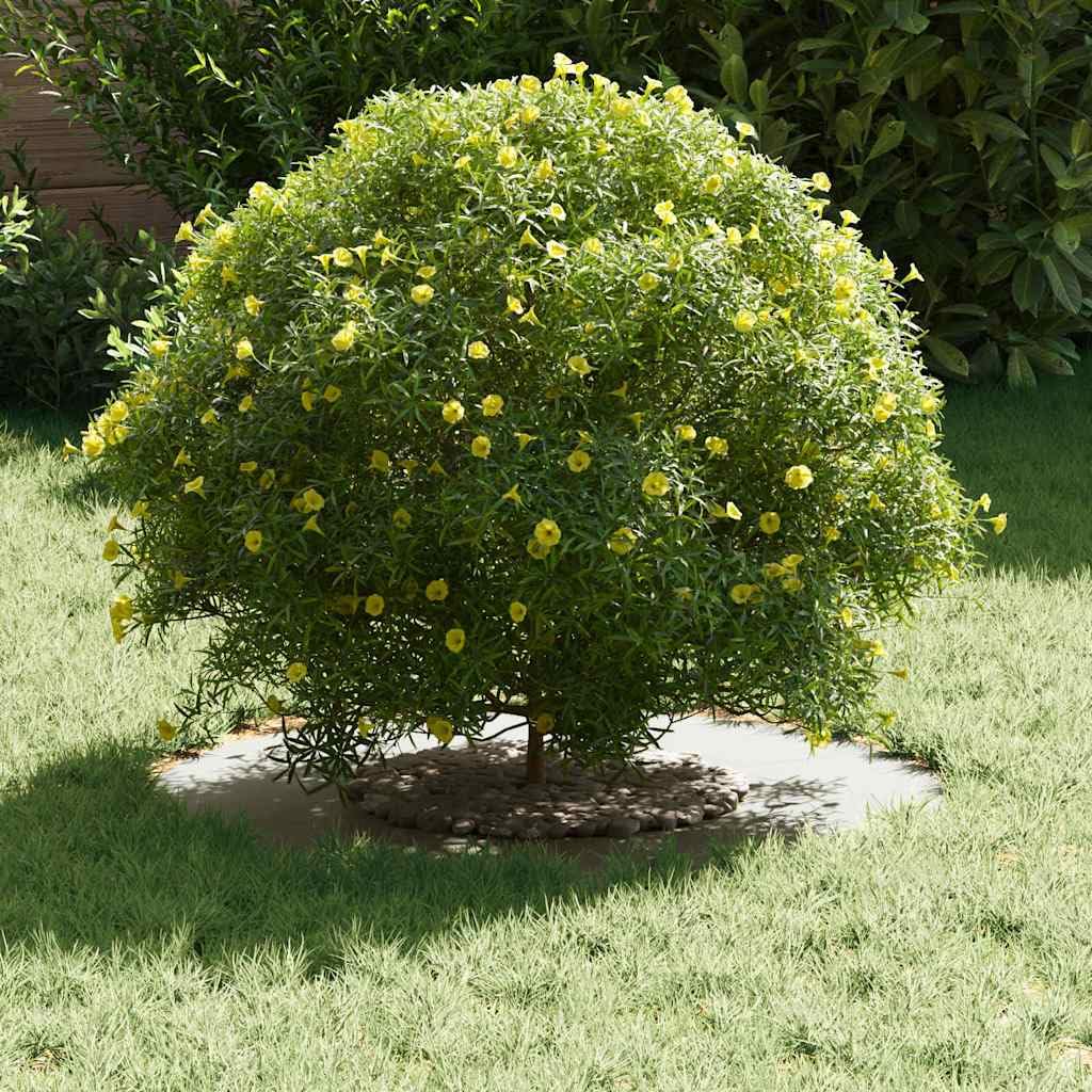 Hothingwell Anillos de Arbol Plano 5 uds 30/60 cm Acero | Decorativo exterior, protege raices, facil montaje, resistente clima, diseño moderno