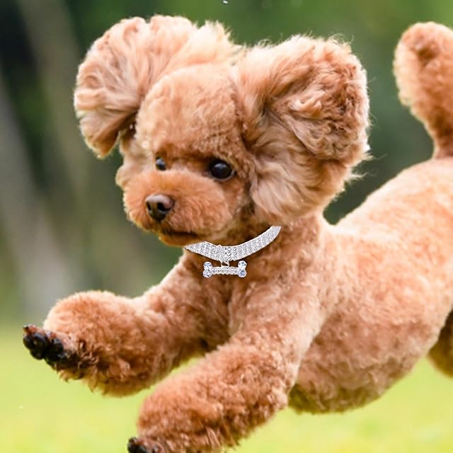 Foto 2 de 8 de Collar de perro con brillo, collar de diamantes de imitación para perros pequeños, gatos, collar de diamantes…