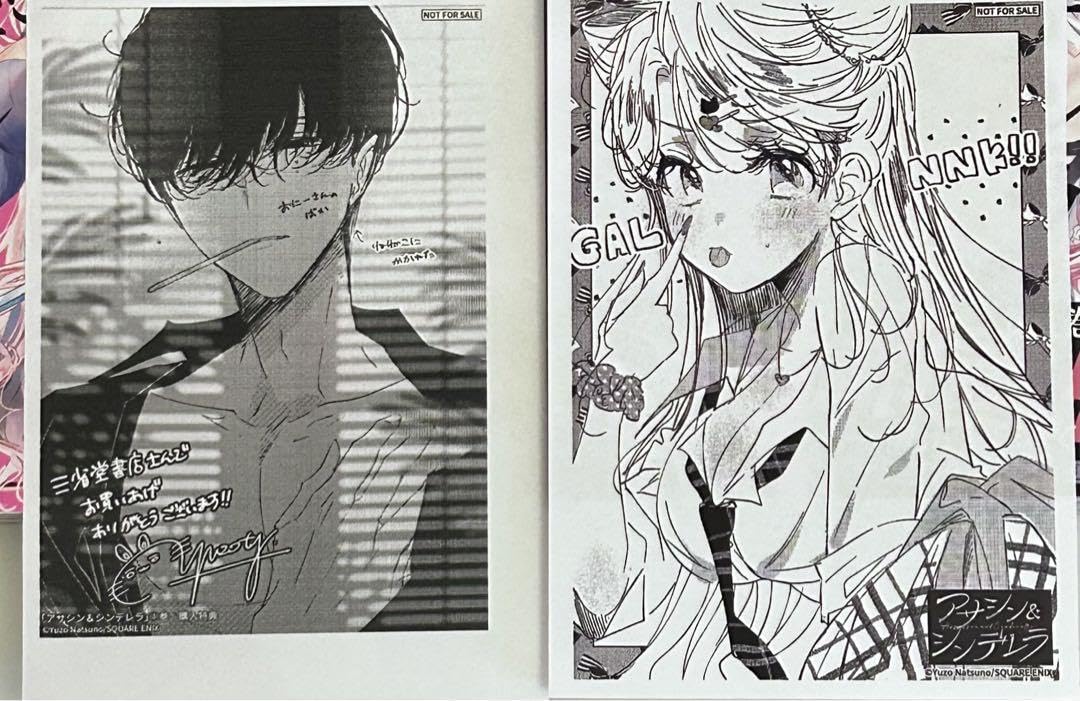 Amazon.co.jp: アサシン&シンデレラ 1巻 2巻 特典のみ イラスト