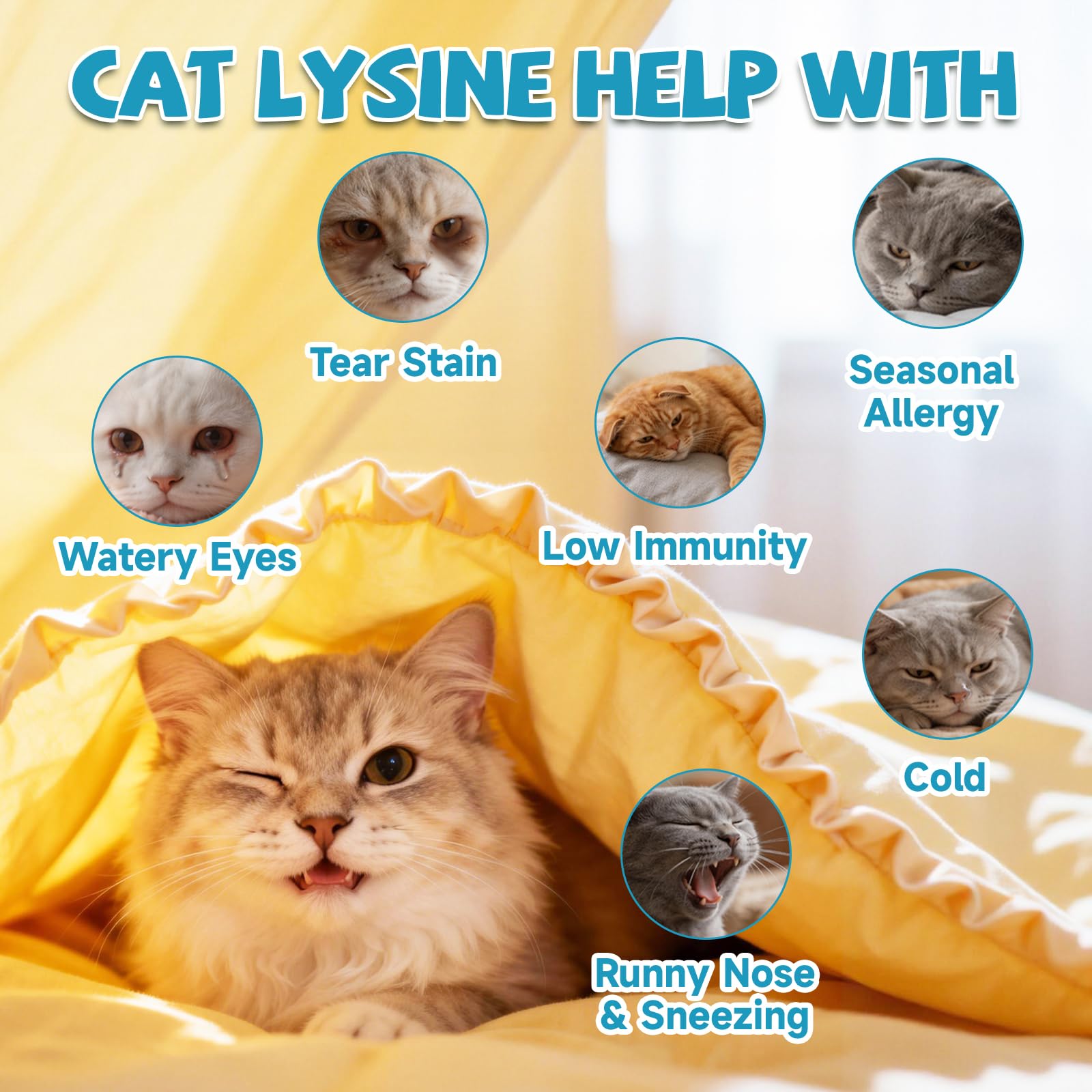 L-Lisina per Gatti Gattini – Pasta Gatti Lisina Supporto Immunitario, Sollievo da Starnuti, Raffreddore, Occhi che Lacrimano, Taurina, Omega-3, Vitamine