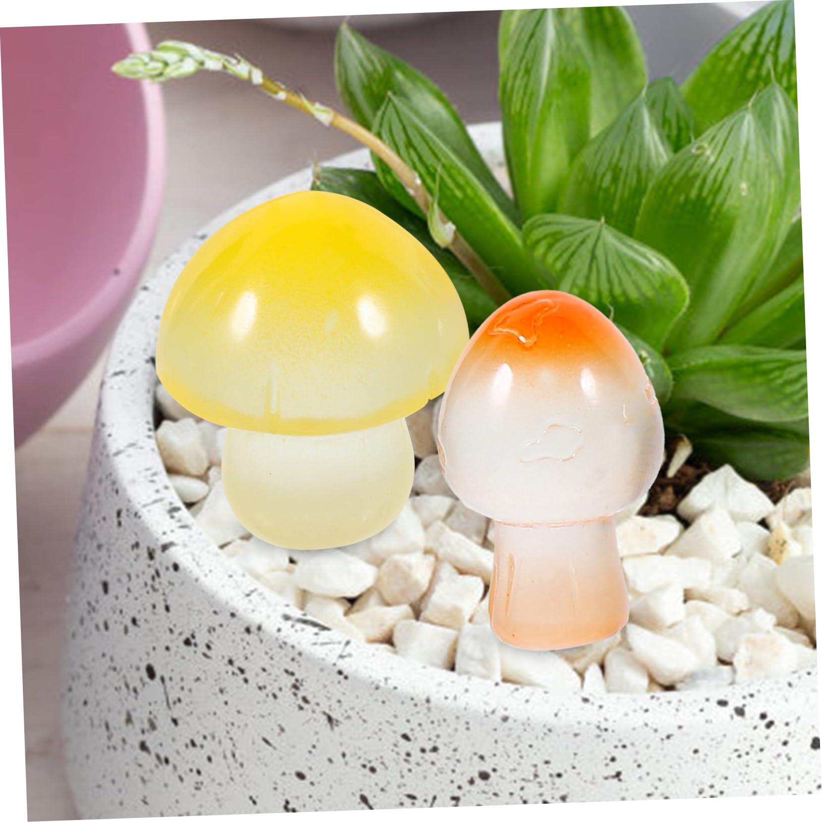 BESPORTBLE 24stcke Mini-pilzfiguren aus Kunstharz fr Garten und Bonsai-Dekoration  Leuchtende Pilze als Mikro-landschaftsornament Bonsai-pilzdekoration fr  Innen und Auenbereich : Amazon.de: Garten