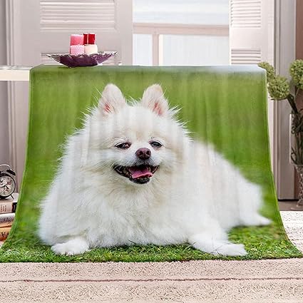 Amazon Sjyhnb 毛布 白犬 掛け毛布 ひざかけ フランネル ふわふわ 柔らかい 洗える プレゼント 携帯用 車用 軽量 オフィス用 膝掛け 秋用 冬用 寝具 70x100 Cm ブランケット 毛布 オンライン通販