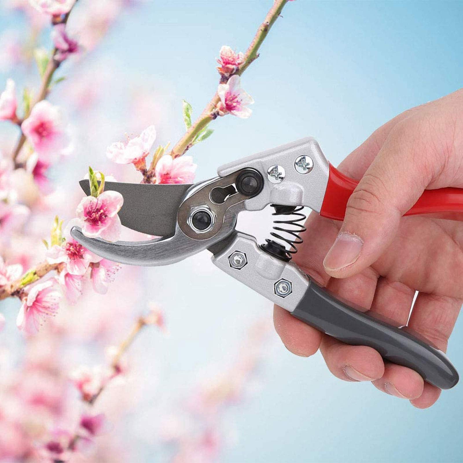 Forbici da potatura per Giardinaggio Forbici Professionali per potatura Rami da Giardino, Forbici con Lama affilata in Acciaio SK-5 con Molla di Ricambio Ogni