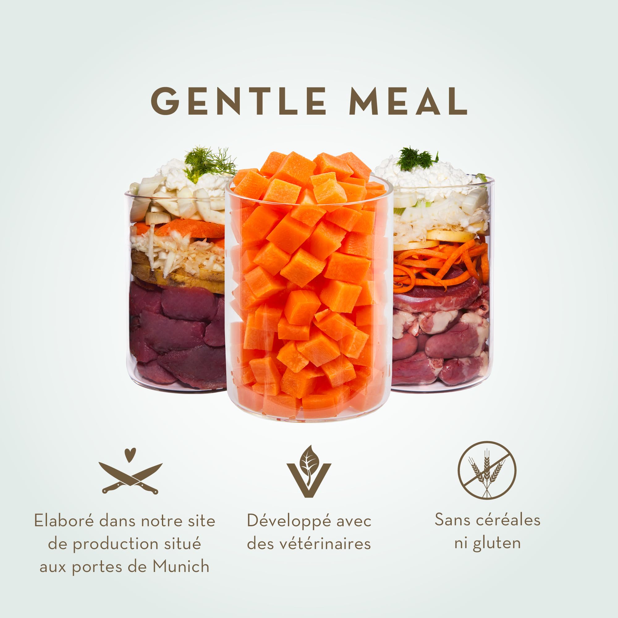 Terra Canis Veau, Carotte & fenouil - Aliments Gentle Meal régime Gastro-intestinal, 6x800g I Aliment pour Chien 1re qualité, 100% aux Standards de l’Alimentation Humaine I Pauvre en allergènes