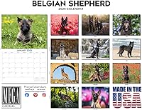 Vista 1007 de Razas de Perros 2017