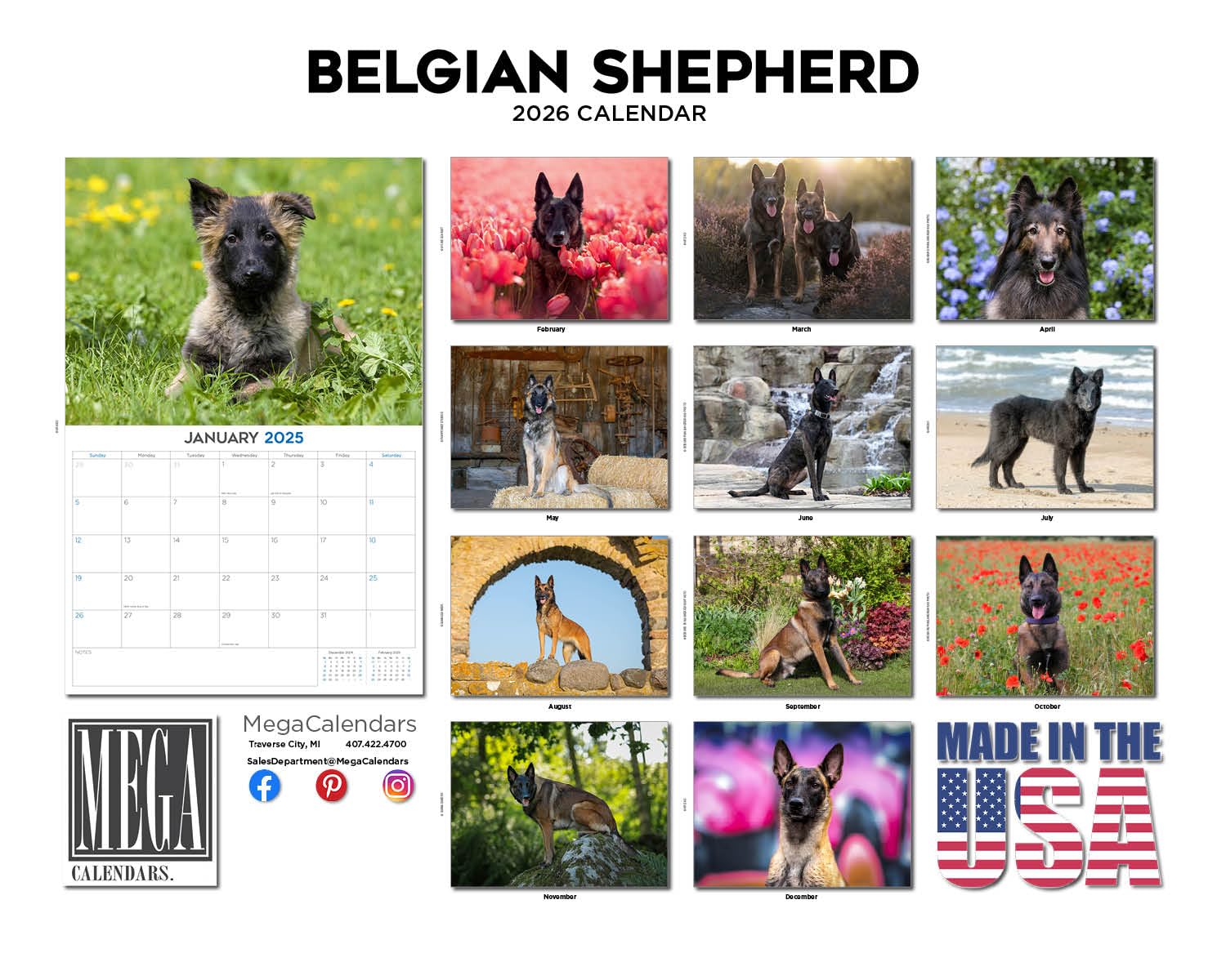 Kalendarz 2024 2025 owczarek belgijski - miesięczny kalendarz ścienny rasy psów - 30 x 45 cm otwarty - gruby papier bez przebarwień - prezent - akademicki planer nauczyciela kalendarz organizowanie i