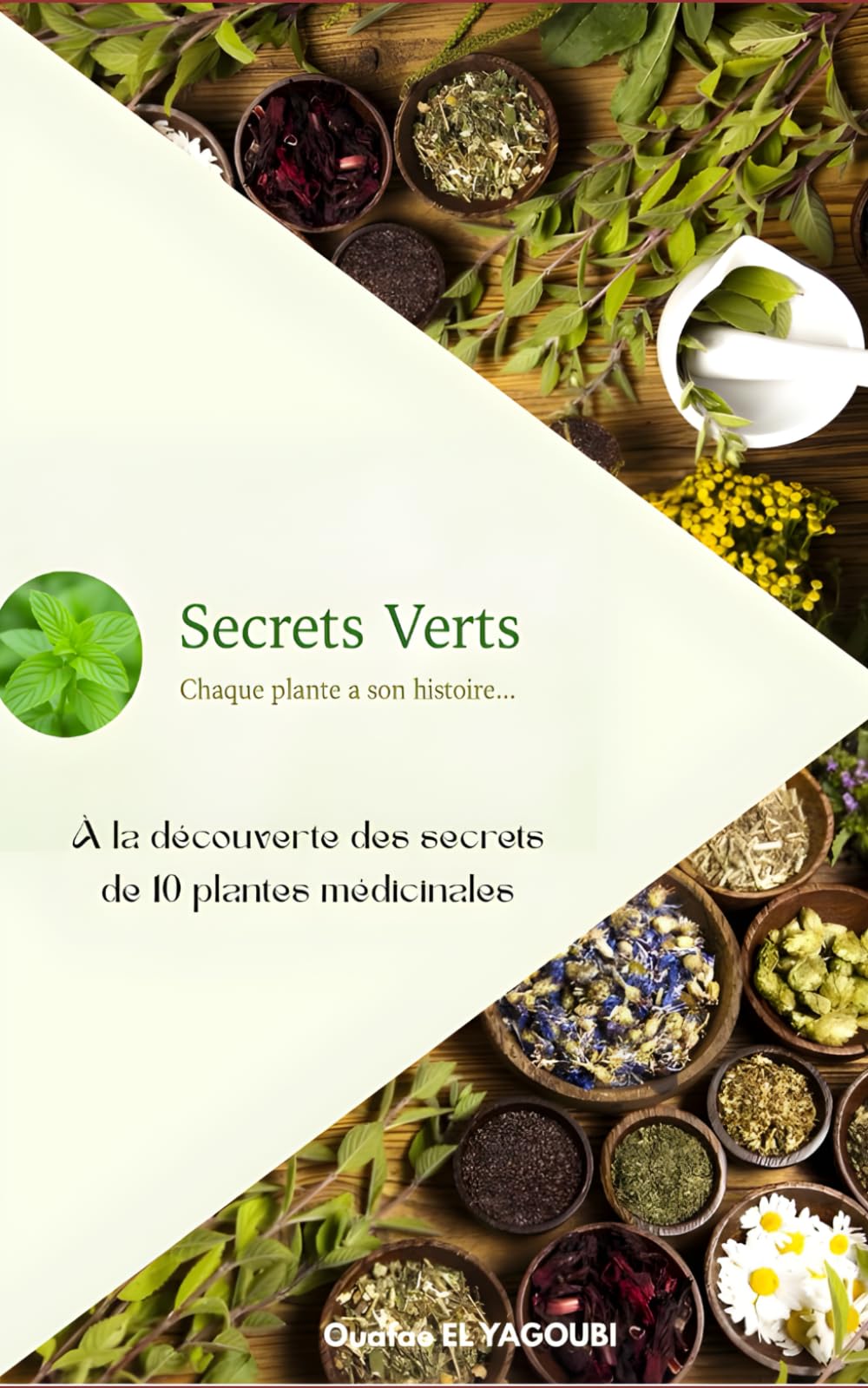 Secrets Verts: À la découverte des secrets de 10 plantes médicinales