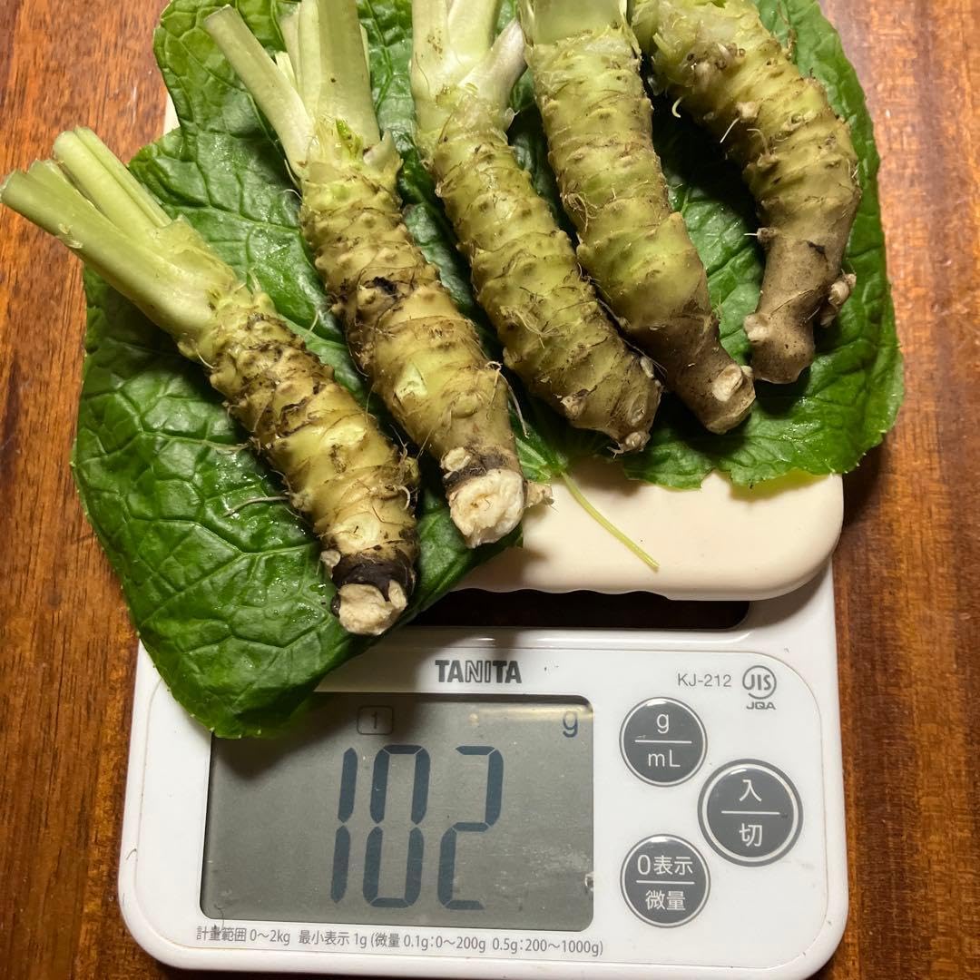 Amazon.co.jp: 安曇野産 わさび ミニミニサイズ 100g : 食品・飲料