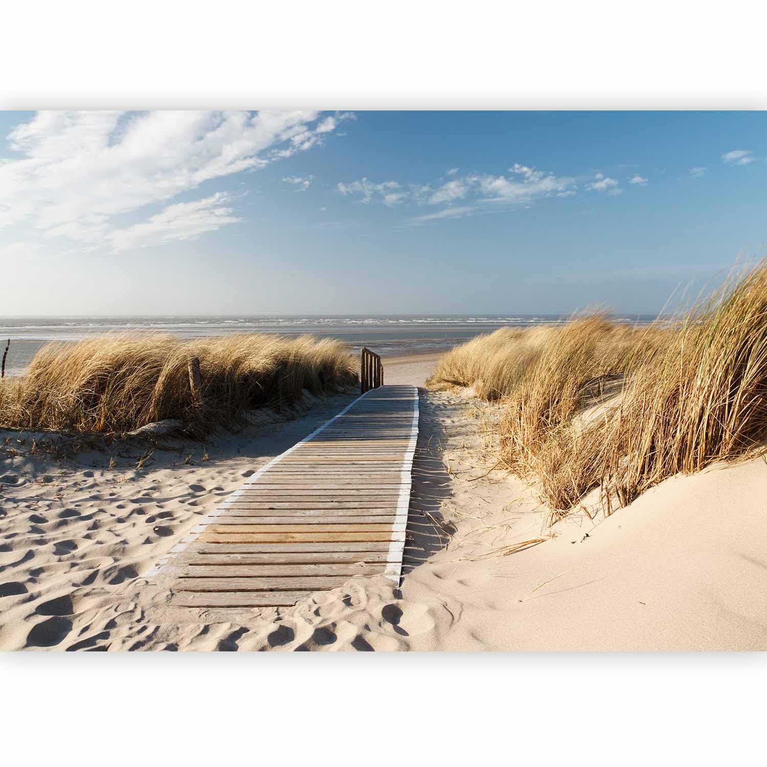 murando - Premium Photo Wallpaper Beach Sea 450x315 cm / 178"x124" - Non-Woven Premium Art Print Fleece Wall Mural Decoration Poster Picture Design Modern - Nature Sand Ocean Clouds Sky c-C-0176-a-a — image 1