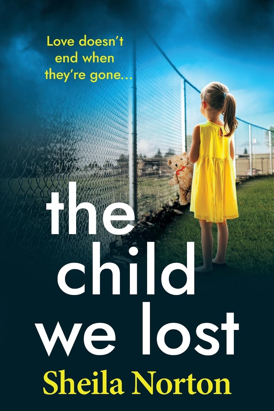 The Child We Lost: The BRAND NEW heartbreaking family drama from Sheila Norton for 2026