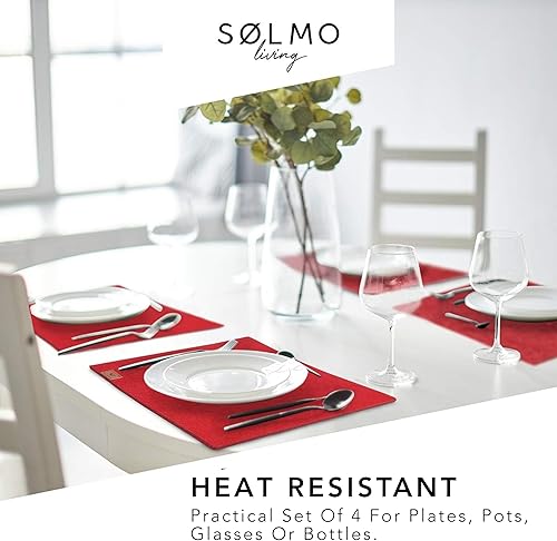 Miniatura 5 de Sølmo - Juego de 6 manteles individuales de fieltro de alta calidad, lavables, 16.5 x 12.6 in, lavables, posavasos de fieltro, posavasos y posavasos