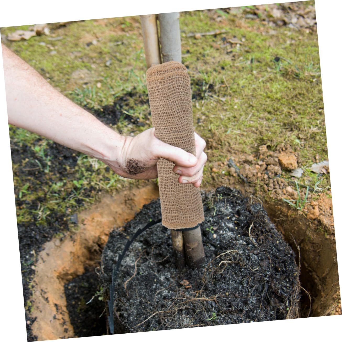 Protezione per Alberi in Lino 3 Pezzi Copertura Invernale