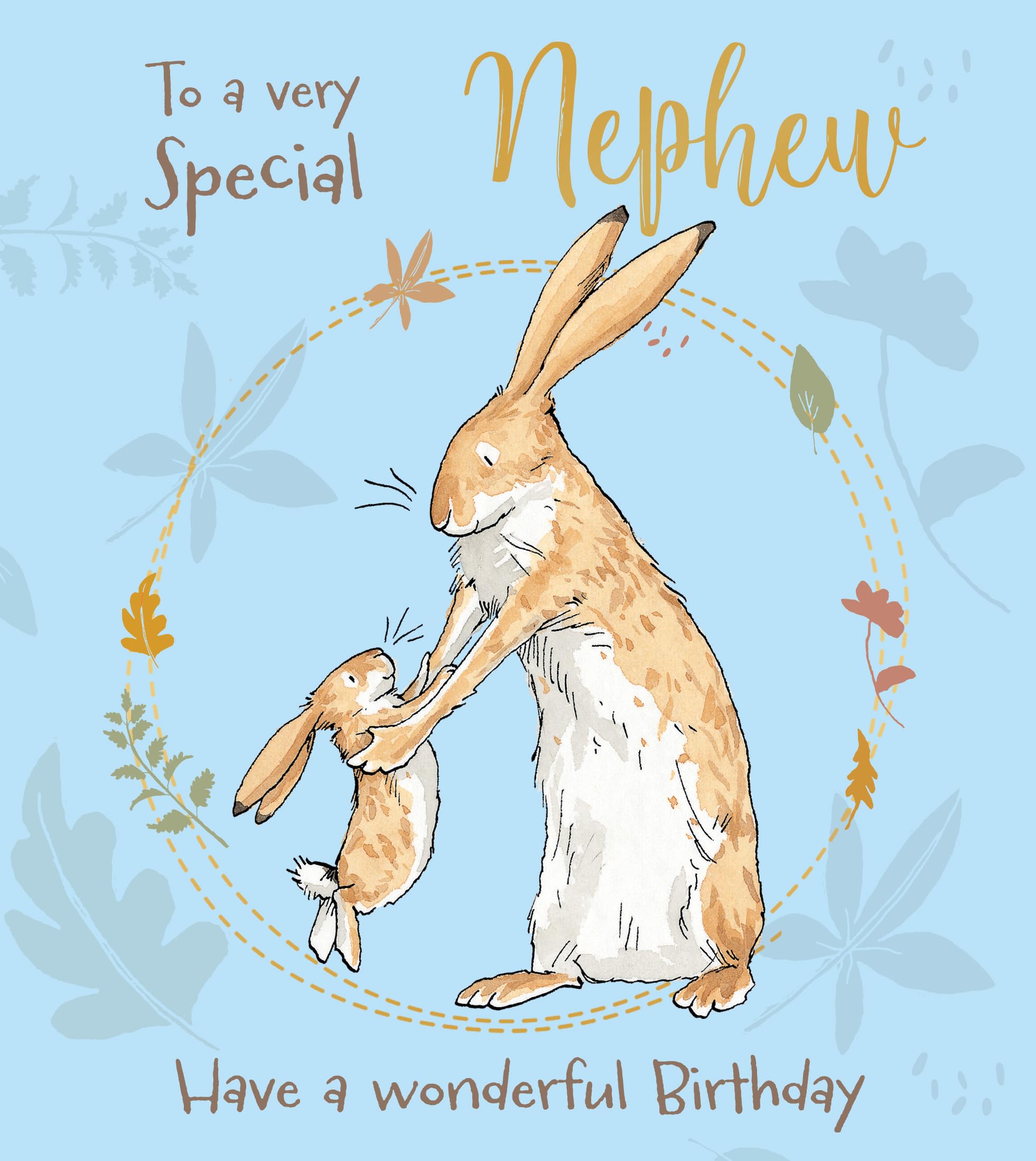 Guess How Much I Love you NEPHEW BIRTHDAY CARD