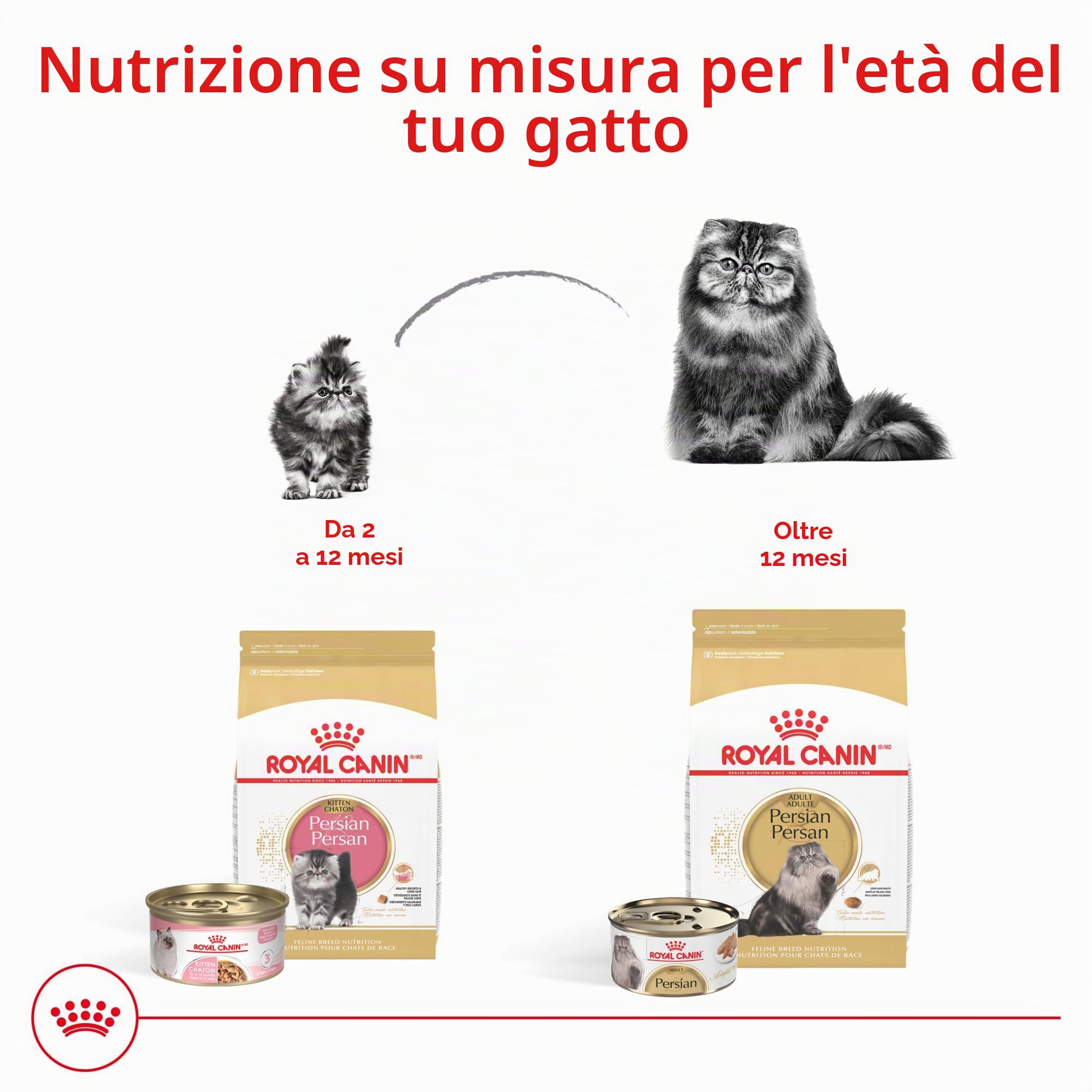 Hairball Breed Health Nutrizione Persian Dry Cat Food, 7-Pound by Hairball