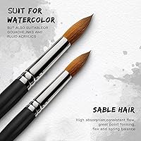 Vista 3 de Watercolor Brushes Professional Set, 10 Artist Brushes Watercolor Paint Brushes, Golden Maple Sable Brush Paint Brushes-Round Tip, Flats, Dagger