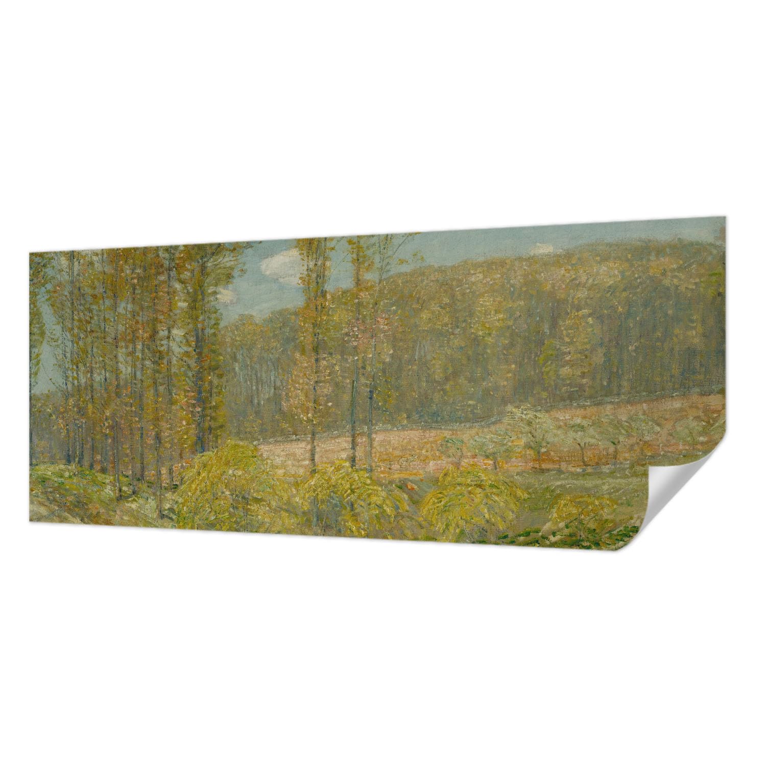 Papier peint panoramique forêt 250x104 cm Tulup Tapisserie murale