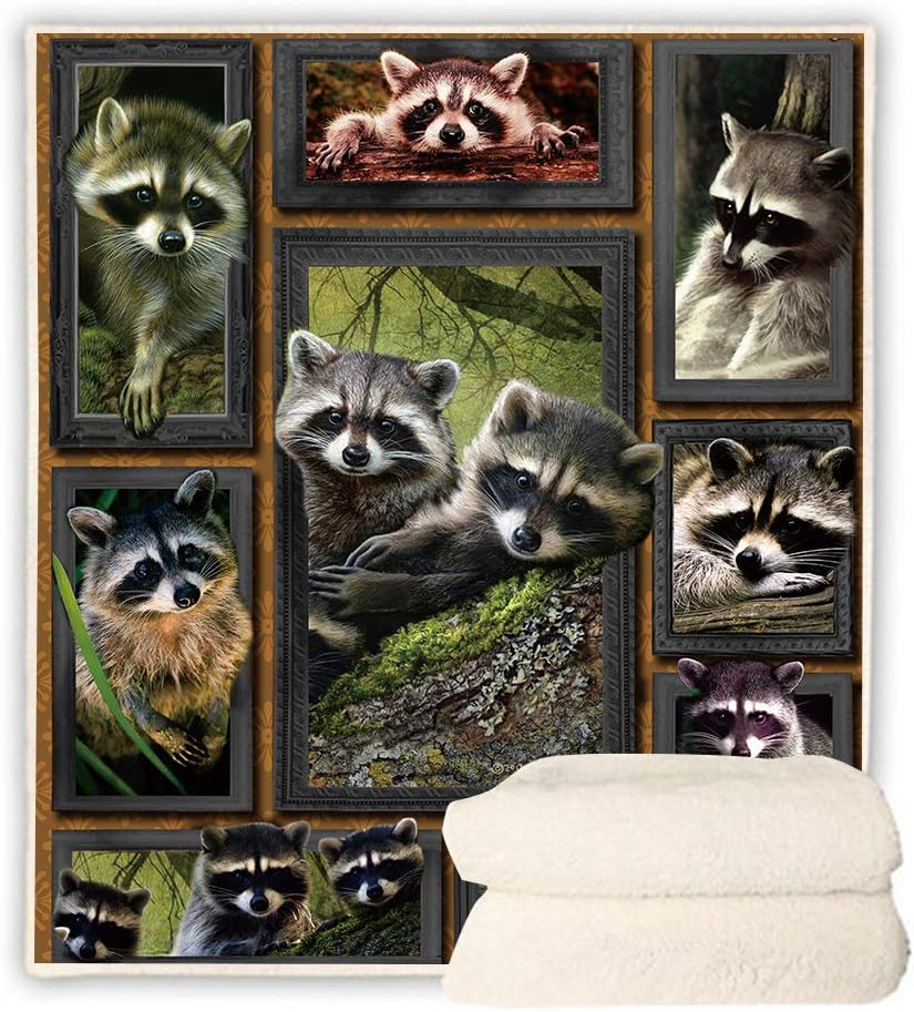 Sherpa Fleece Blanket 3D Raccoon Thicker Plush Warm Throw Blanket for Sofa Couch Recliner Travel Office Home Bedding Blanket (3D Raccoon, 60'' x 50'')