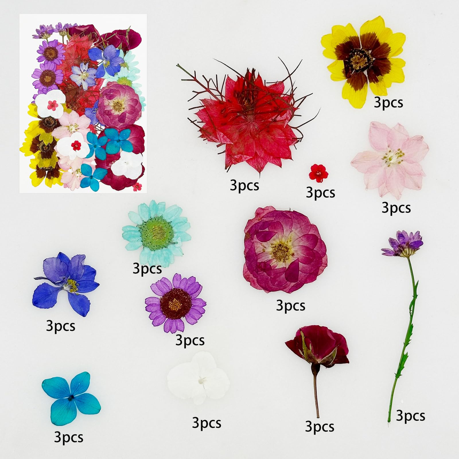 Cayway 36 PCS Dried Pressed Flowers for Resin Mixed Color Real Pressed Flowers Dry Leaves Kit Natural Dried Pressed Leaves for Art Crafts Resin Scrapbook Supplies Soap Candle DIY - Image 2