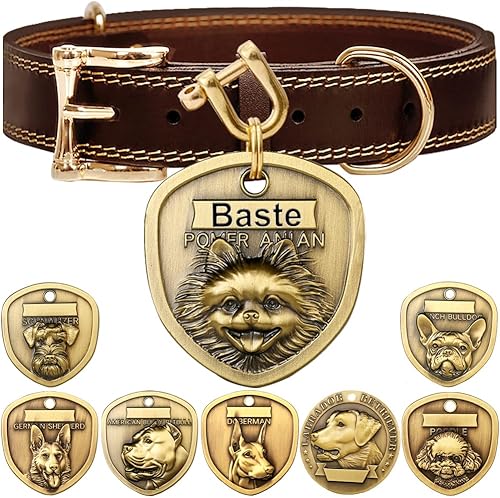 Collar de perro de cuero genuino+juego de placa de perro Pomerania en relieve 3D