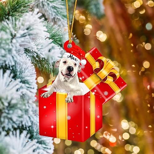 IZI POD Dogo Argentino - Caja de regalo personalizada de 2 pulgadas color rojo con forma de adorno de Navidad adorno de Dogo Argentino con nombre