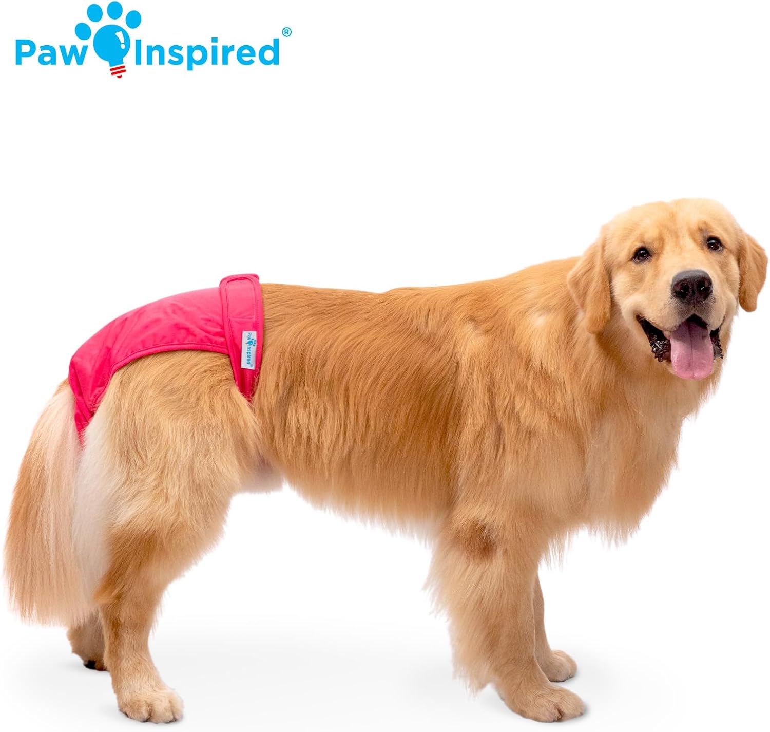 Paw Inspired Washable Reusable Dog Diapers Female, Cloth Dog Diapers, Dogs in Heat, Dog Incontinence (Assorted (White Lining), X-Large (2 Ct.))