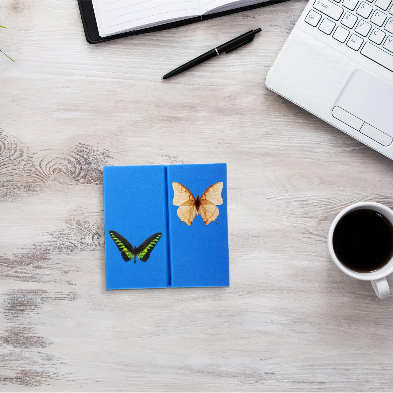 iplusmile Planche D'Épandage Entomologique 14.30X14.30X2.00Cm Outil D'Épinglage Pour Montage De Et Spécimens D'Insectes Durable Et Stable Pour Exposition Et Collection