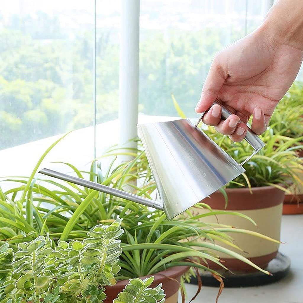 Generisch Diese Gartengießkanne aus Edelstahl mit Langer Öffnung eignet Sich ideal zum Bewässern von Topfpflanzen und Gartenpflanzen im Freien.