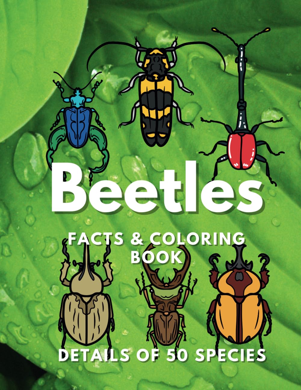 Beetles: Facts & Coloring Book: Activity Book for Children Aged 2 to 16 Years (Animal Facts and Coloring)