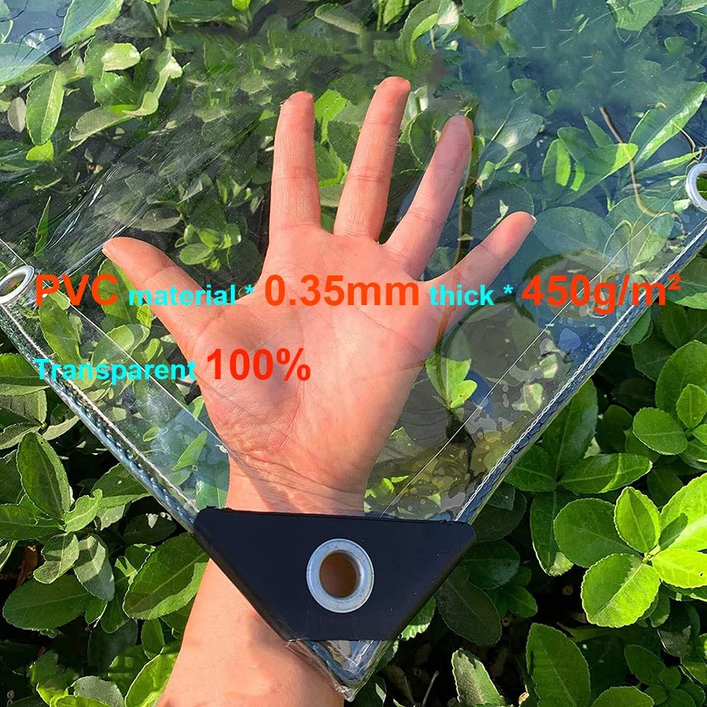 Bâche transparente robuste en PVC imperméable de 0,35 mm pour jardin, balcon et terrasse - Résistante aux intempéries - Tailles : 1 x 5 m à 2 x 6 m