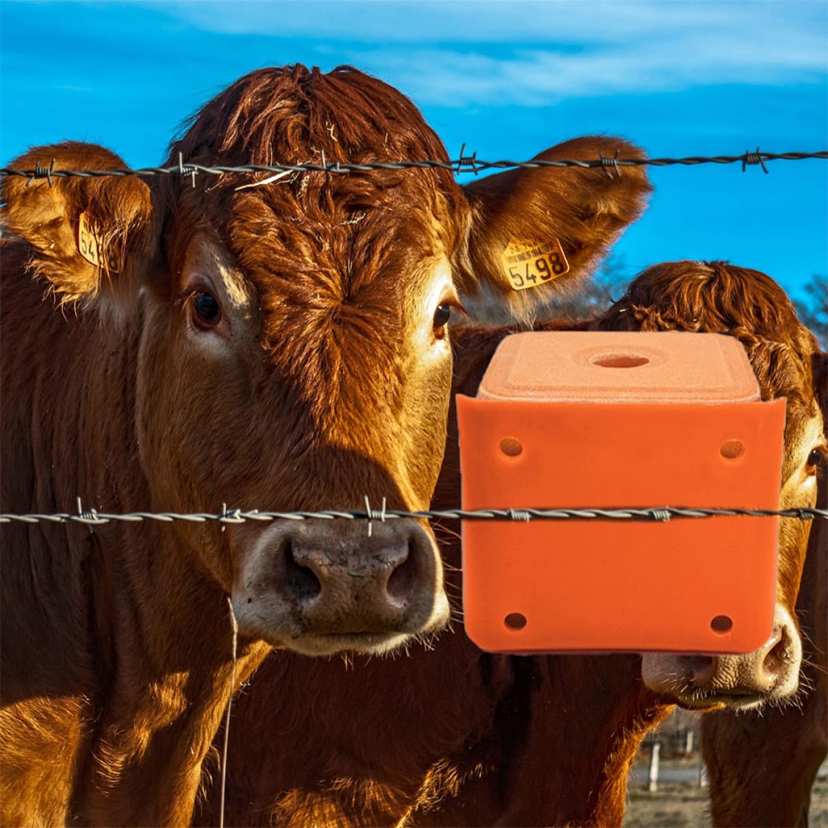 Artibetter Distributeur de Sel pour Moutons et Bétail 2 Pièces en Pe Épaissi, Support Robuste Cylindrique pour Bloc Minéral, pour Élevage Agricole Style Aléatoire