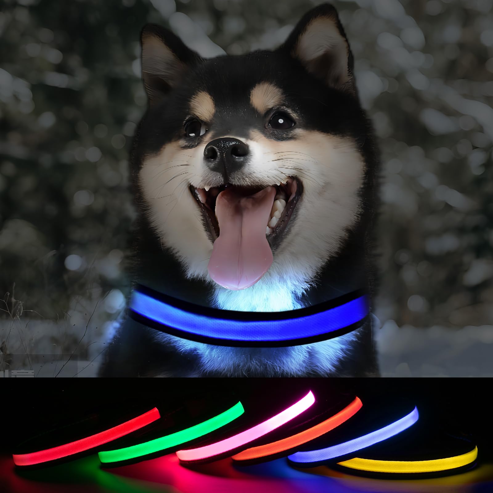 Collare per cani luminoso a LED, collare per cani illuminato per notte, collare per cani di piccola taglia ricaricabile, collare per cani di piccola taglia (blu, confezione da 1, S)