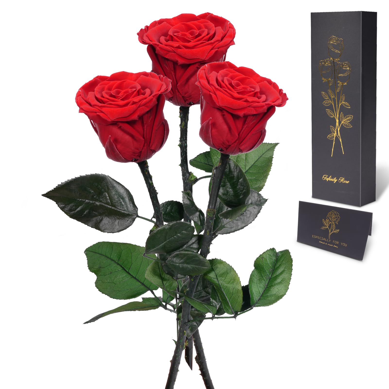 Yamonic Vraie Rose Éternelle avec Collier,Rose Éternelle Faite à la
