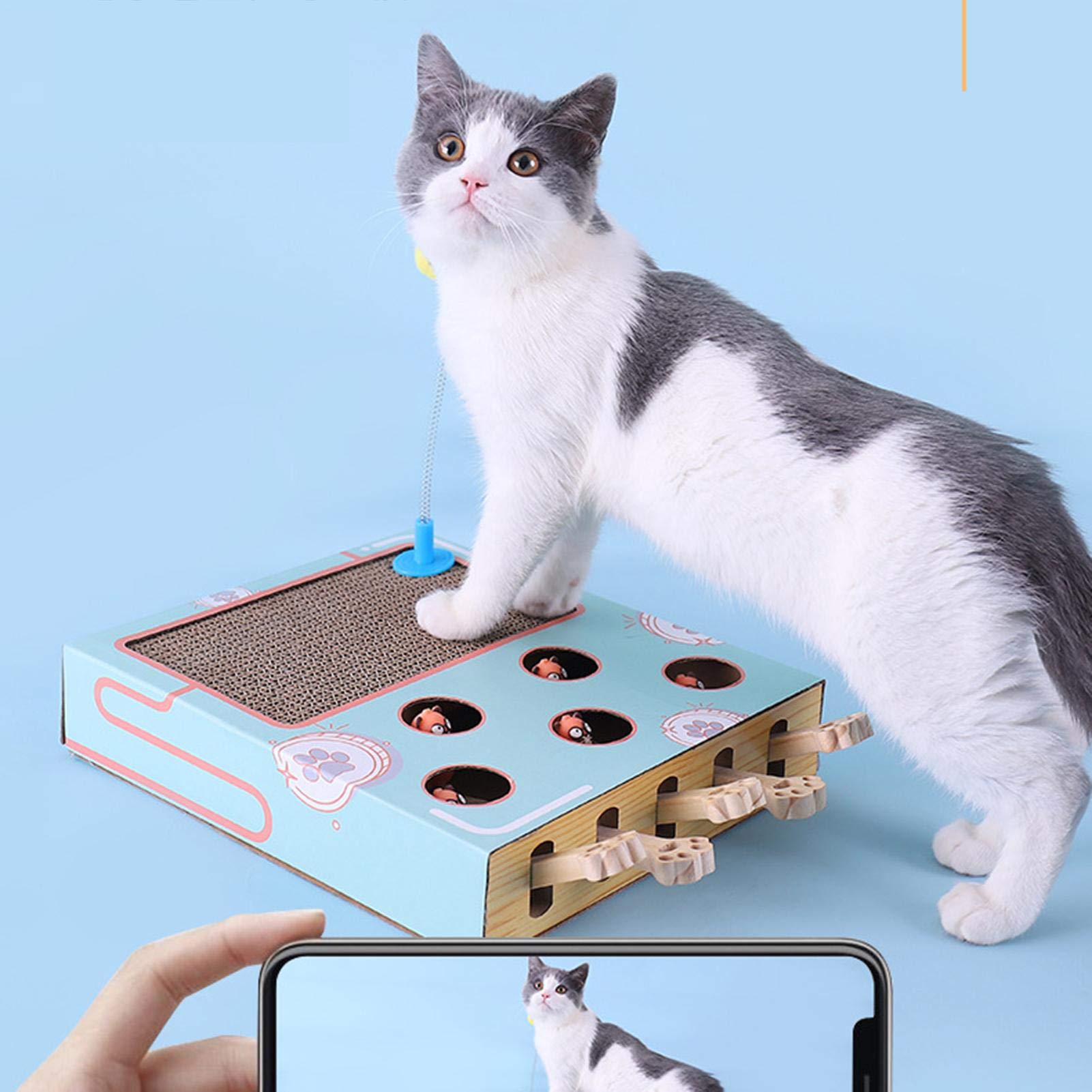 Training - Interactief Kattenspeelgoed