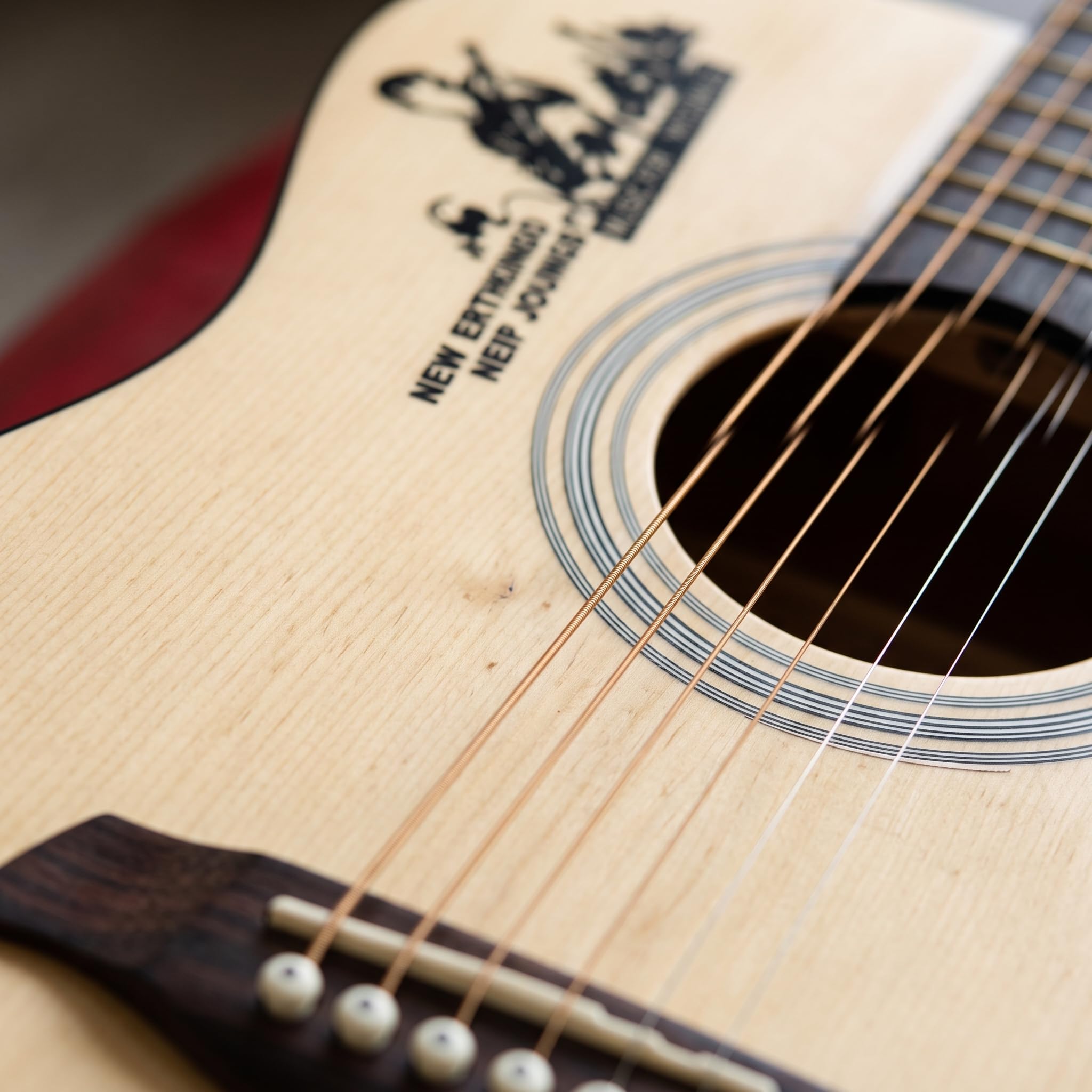 Acustica in Legno per Principianti, Set Completo con Accordatore, Capotasto e Accessori Didattici, Rosa