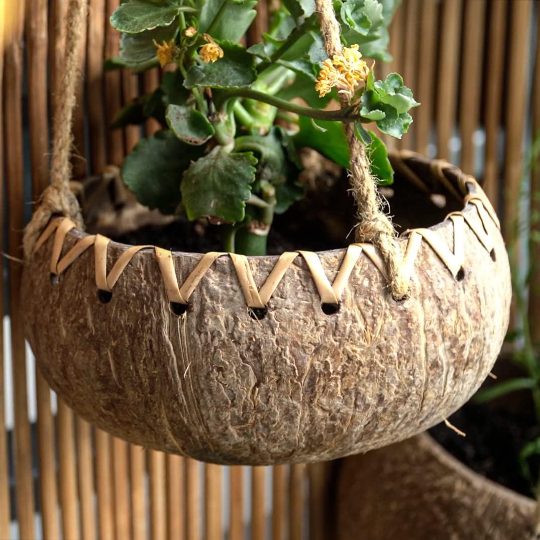 Rainforest Bowls Set of 2 Hanging Fiber Coconut Planters w/Drainage Hole- Perfect for Succulents, Flowers, Small Plants, Indoor & Outdoor Gardens- Handcarved by Artisans, Eco-Friendly & Sustainable