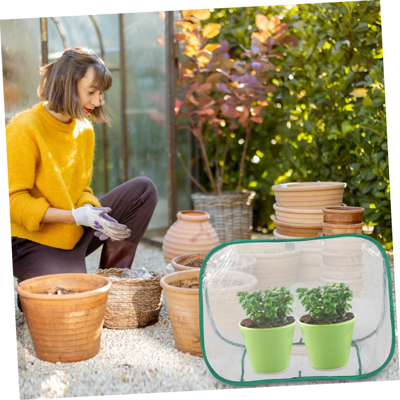 Abaodam Mini-gewächshaus Faltbar Tragbar für Kleine Pflanzen Pflanzenschutzschuppen aus PVC-Material Transparent für Balkon Garten