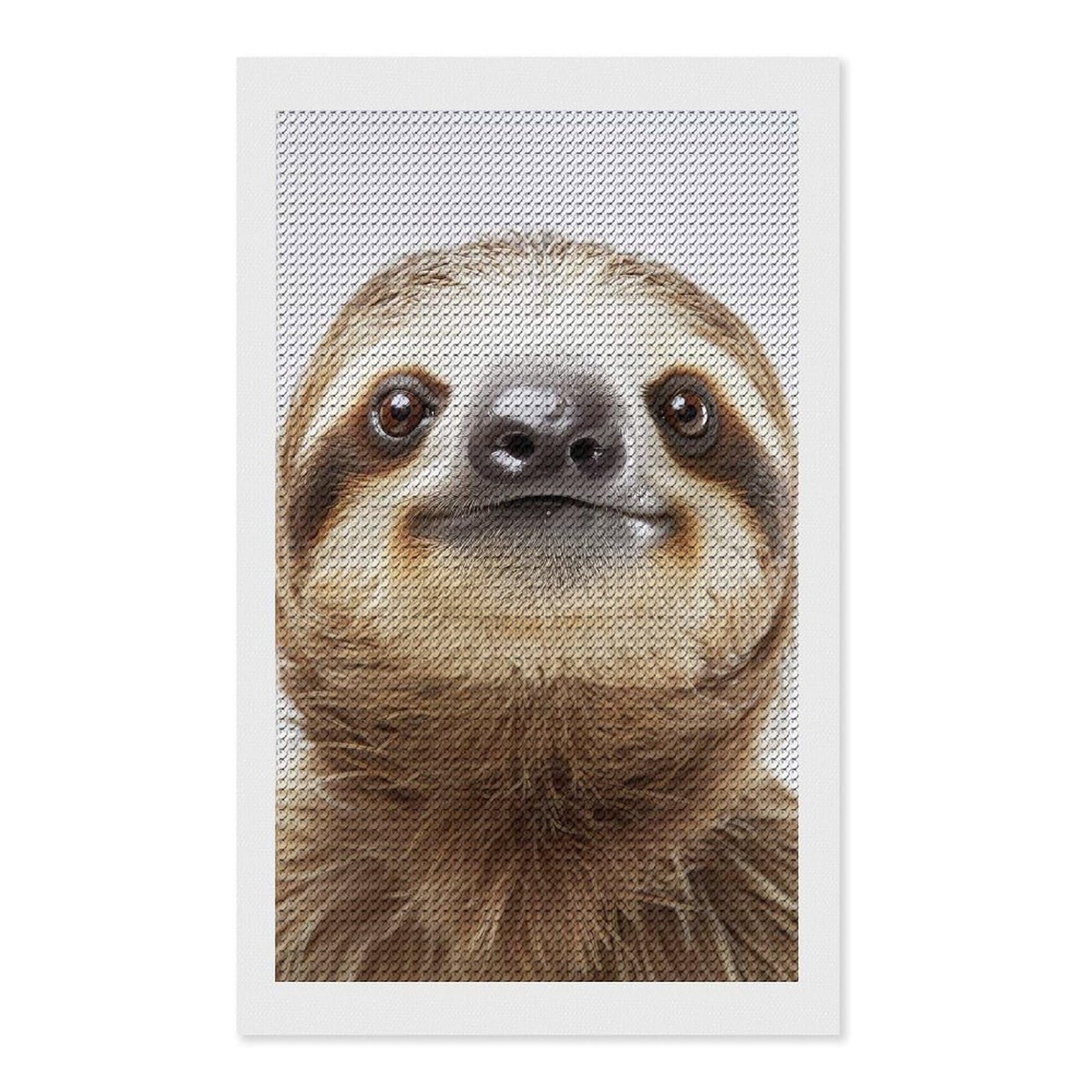 Junmoney Sloth Face Diamond Painting Canvas Set 12"x20", for Women, Pleasing Wall Art Project, Aesthetic Room Decor, Gift Idea