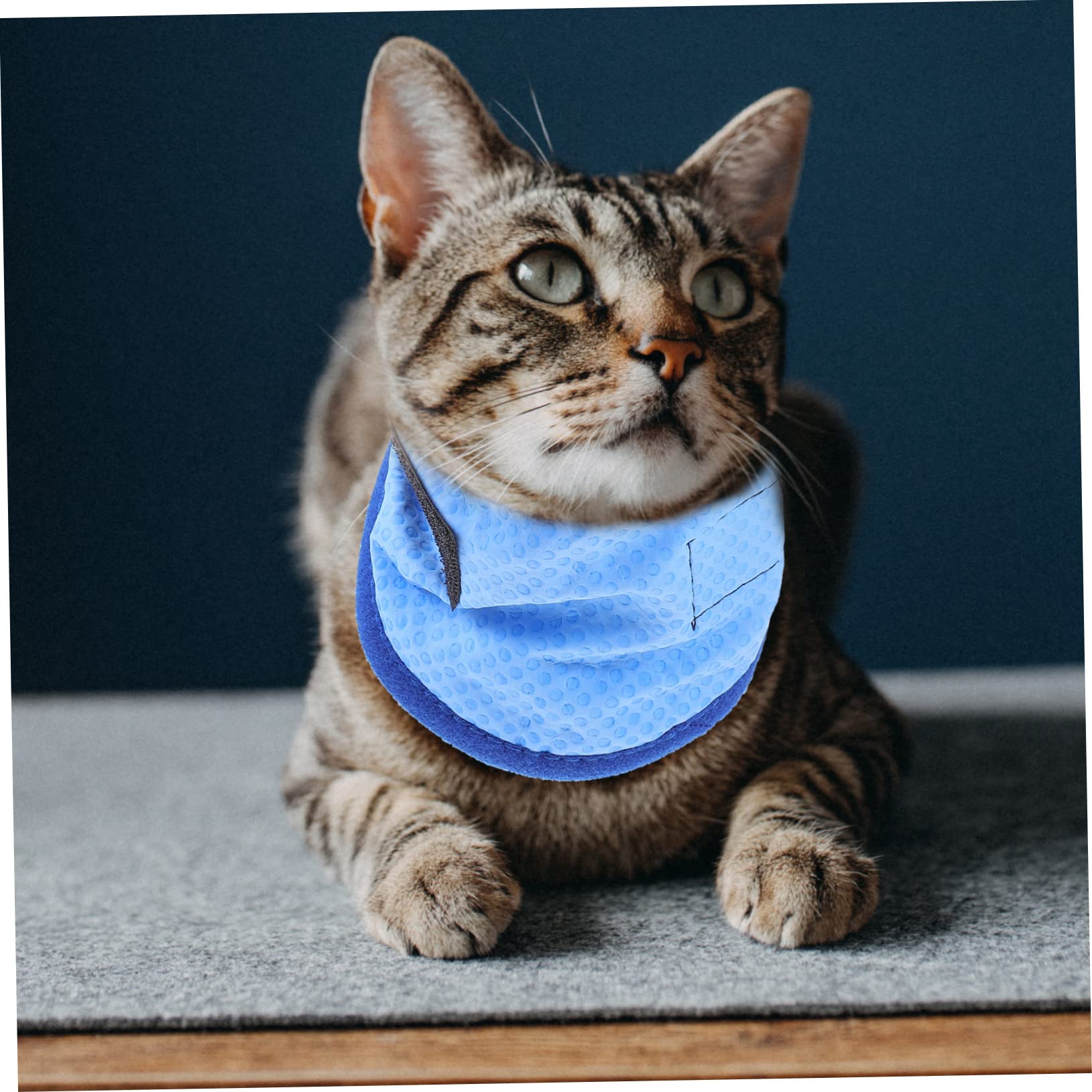 Kisangel 5stücke Atmungsaktive Kühlbandana Für Haustiere Pet Cool Scarf Kühlendes Tuch Für Hunde Für Heiße Tage Leicht Und Hautfreundlich Für Optimale Temperaturregulierung