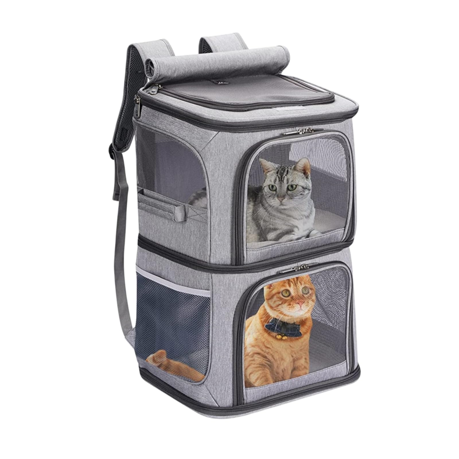 Borsa Viaggio Animali Pieghevole A Doppio Strato per Domestici, Zaino da Trasporto in Tessuto Oxford di Grande capacità Gatti E Cani Piccoli Viaggi Uso All'aperto-Blue