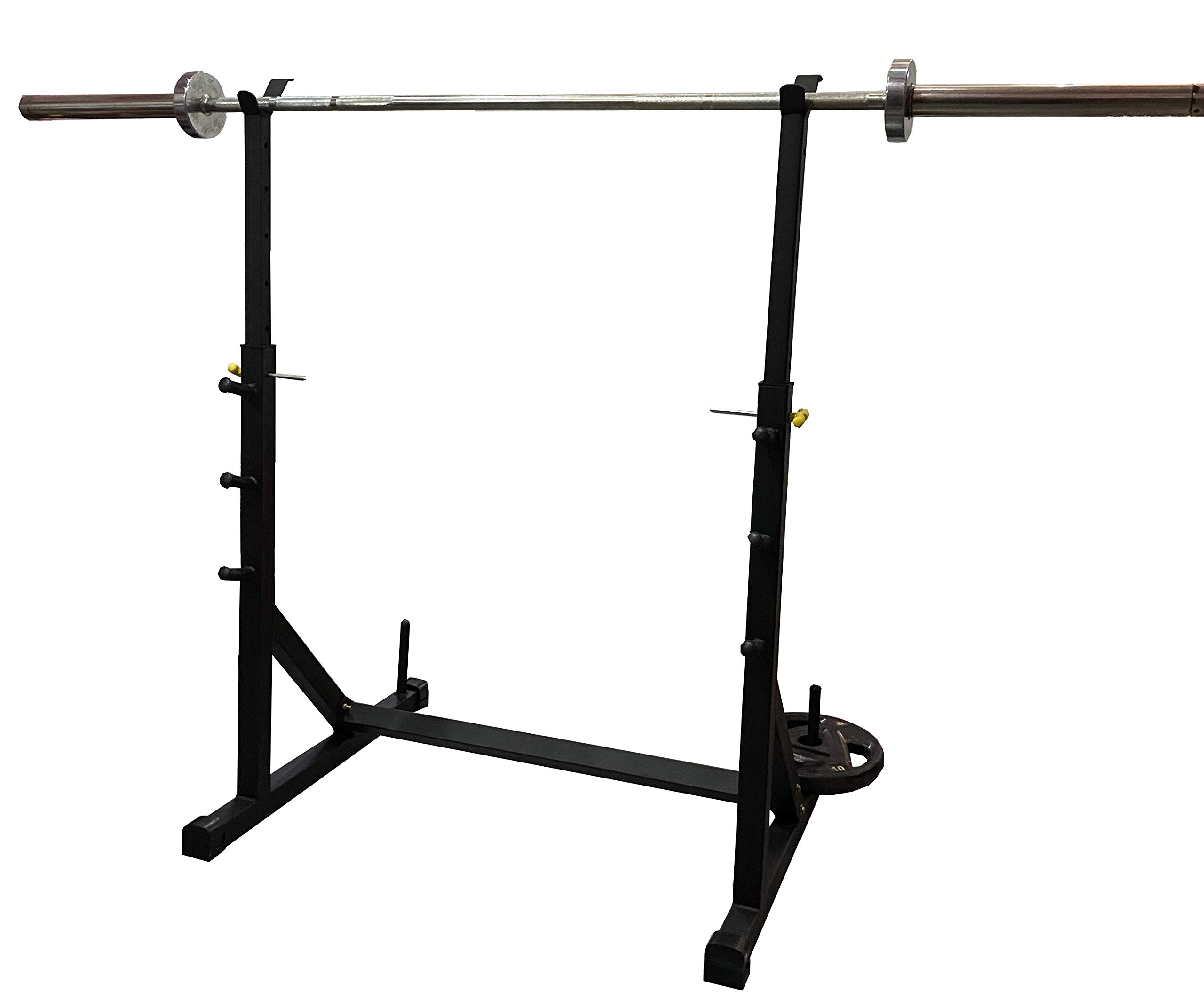 RISE UP Steel Fully Adjustable Squat Stand with Bench Biceps - Capacity up to 250 kg (Black) (B08R3SJ4YX) Amazon Price History, Amazon Price Tracker