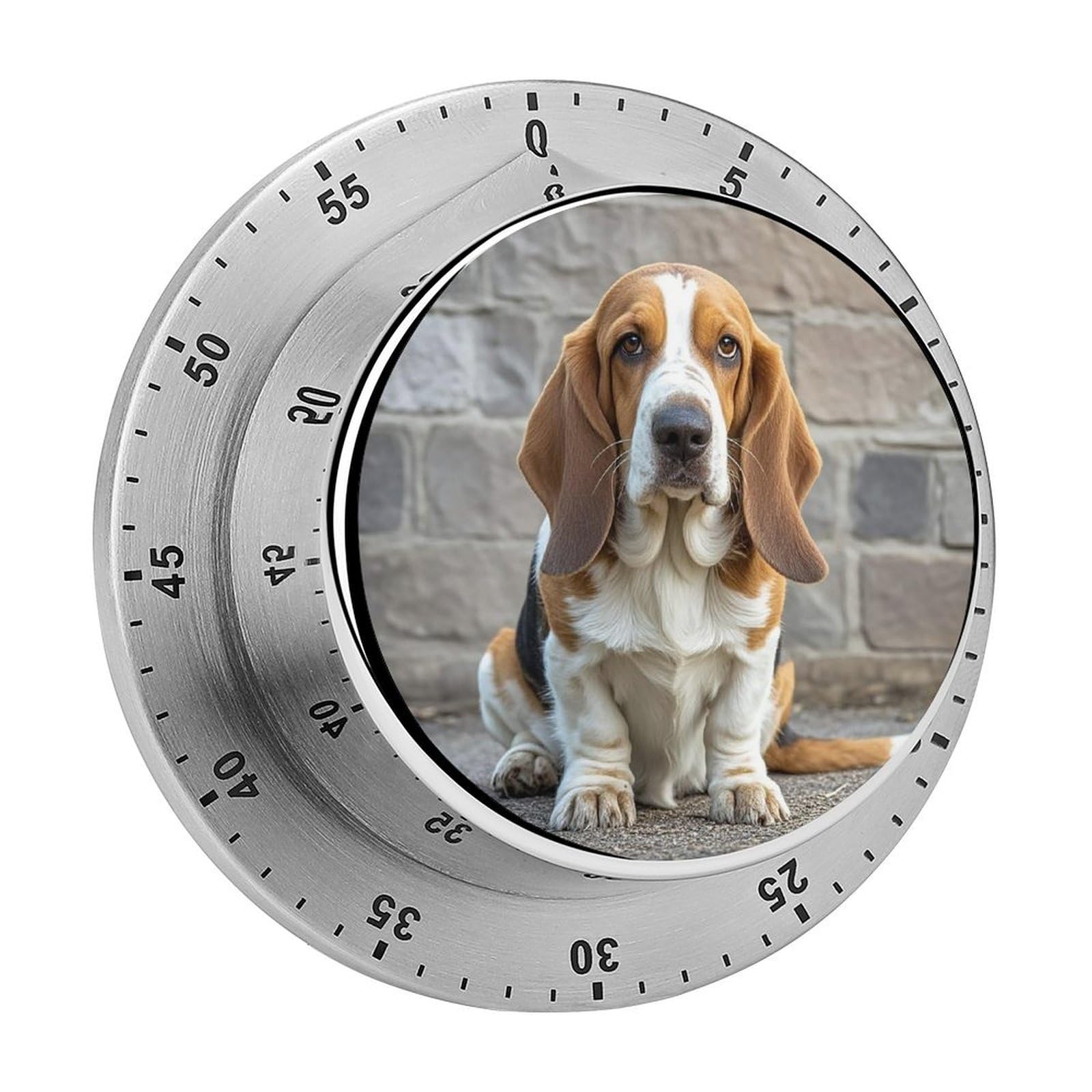 Basset Hound Fashion Visual Timers Wind Up 60 Minutes Desk Stainless Steel Magnetic Timer Countdown Clock No Batteries Loud Alarm for Kitchen Chef Cooking