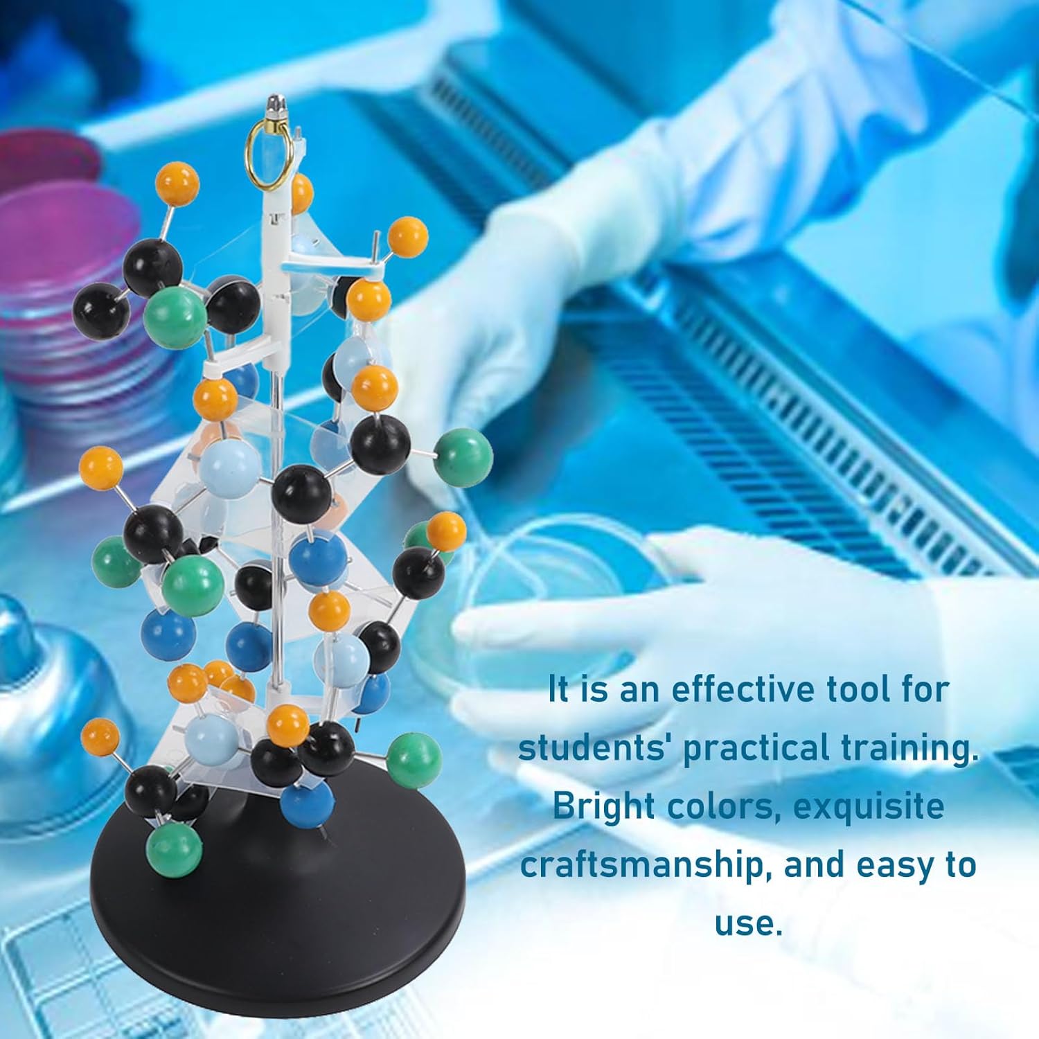 Protein Molecular Model Bright Colors 3D Modeling for Classroom School