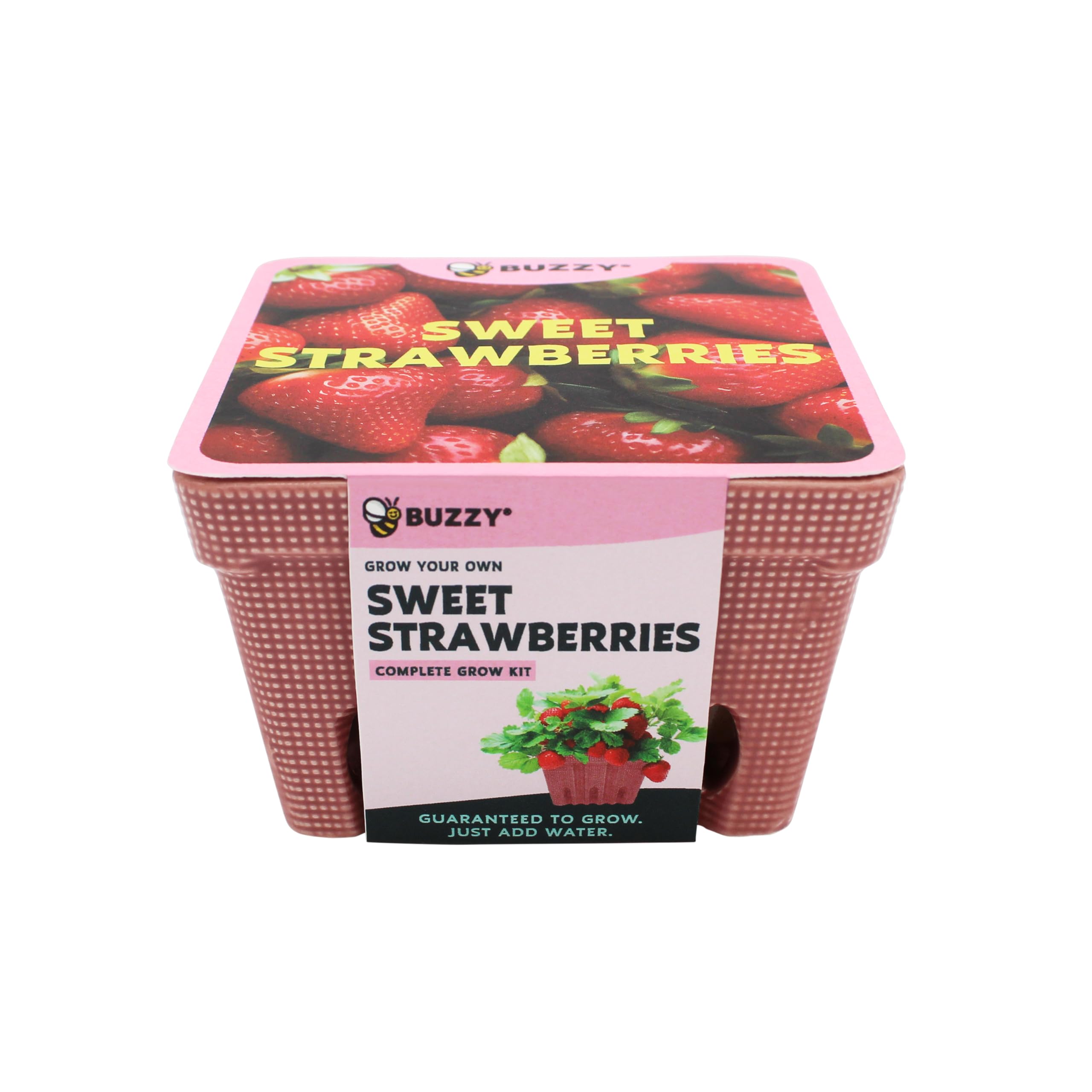BUZZY Seeds Large Ceramic Strawberry Basket Grow Kit