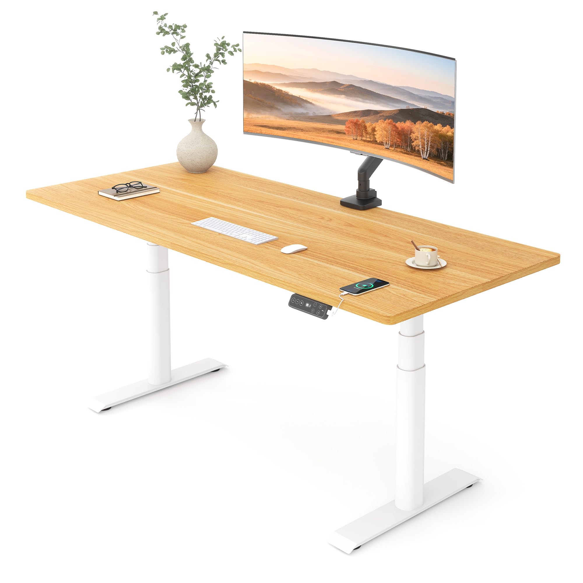 Amazon.com: FLEXISPOT E6 Pro Oval Leg Dual Motor 3 Stages Standing