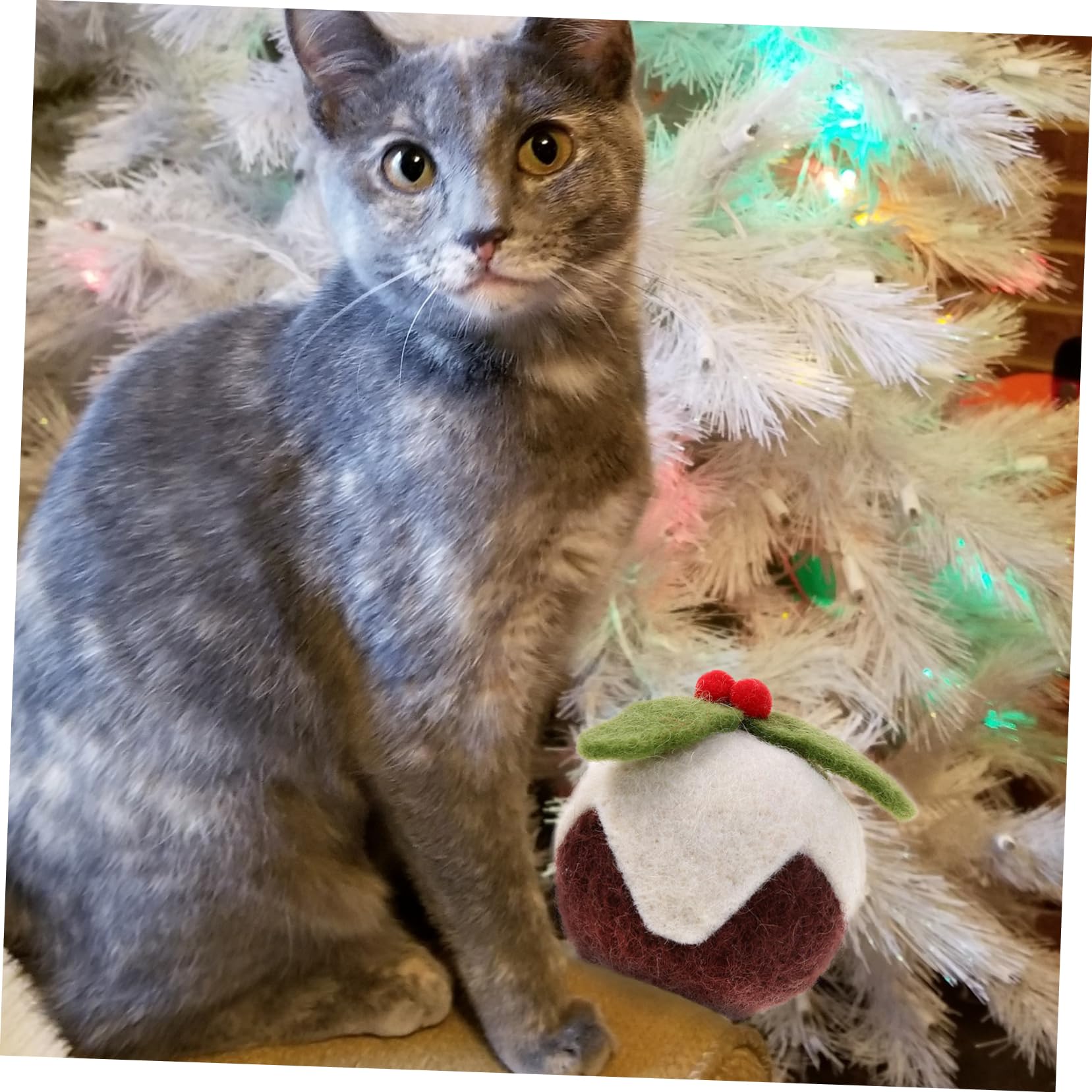 INOOMP 9stücke Katzen Spielzeug Weihnachten Lustige Kratzbälle Aus Wolle Interaktive Spielzeuge Für Katzen Und Kätzchen Haustiere