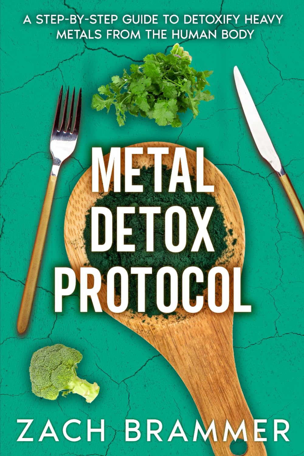 Metal Detox Protocol: A Step-by-Step Guide to Detoxify Heavy Metals from the Human Body