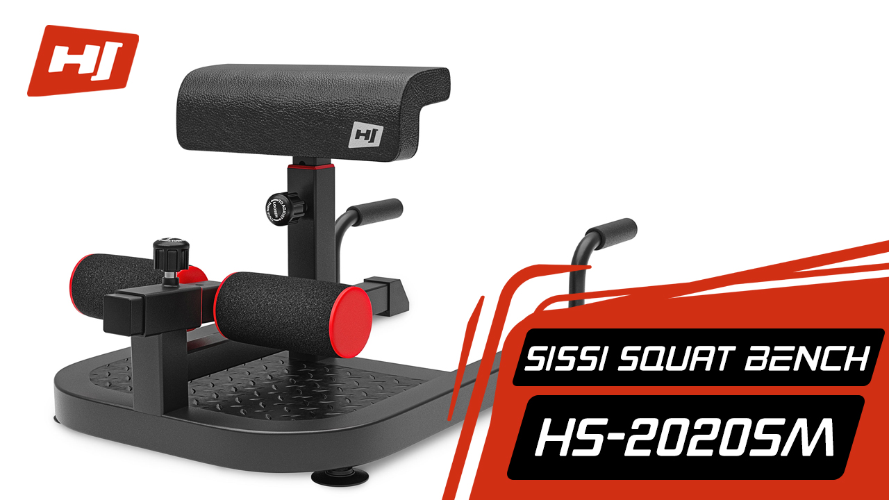 Hop-Sport Sissy Squat Machine Réglable Multifonction - Squats Fessiers Abdominaux Jusqu'à 120kg