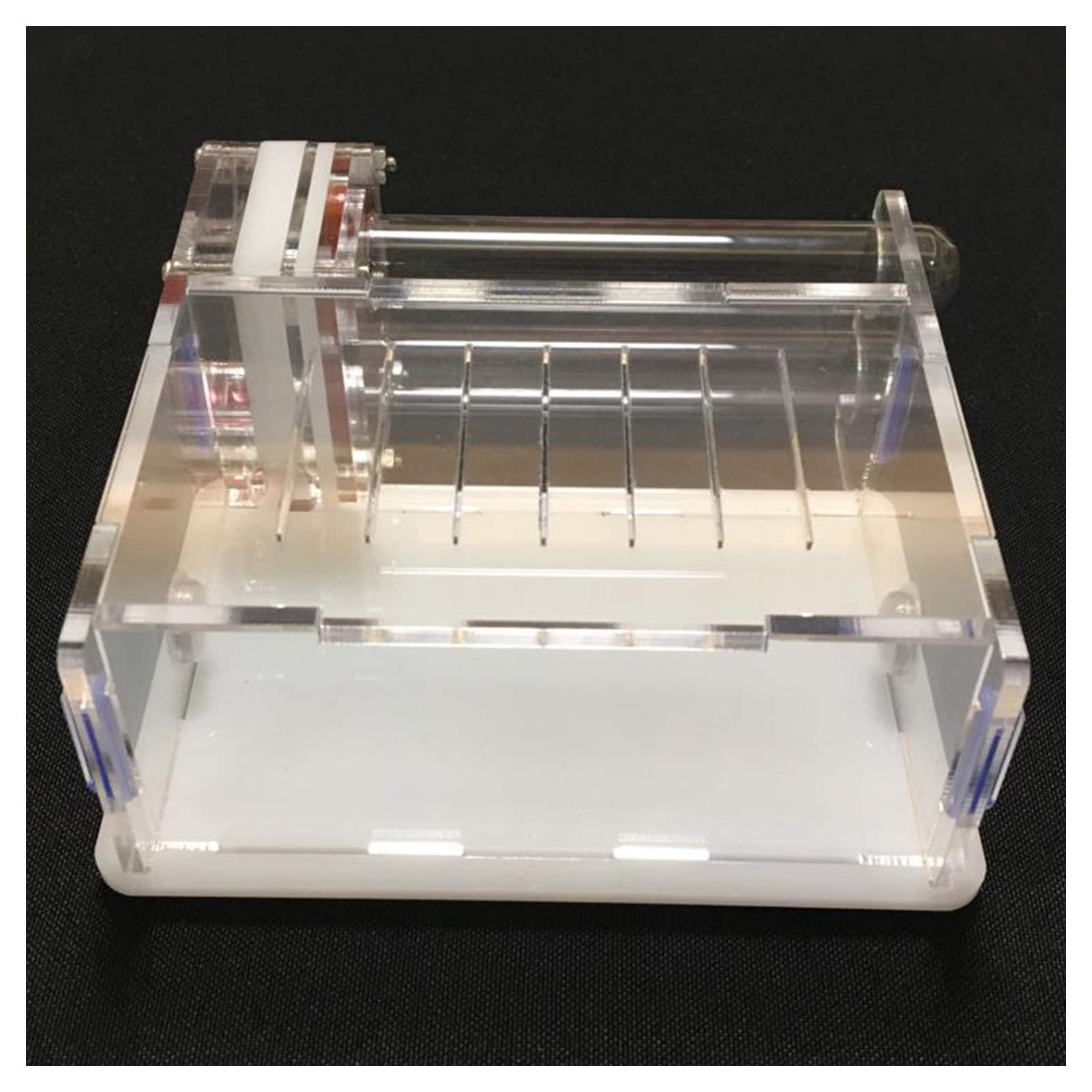 Nid Fourmis Maison Fourmis À 2 Tubes avec Zone d'alimentation Nid Fourmis Acryl Ant Farm Ferme À Fourmis Insectes Villa Pet Mania pour Fourmis Domestiques (Color : White)
