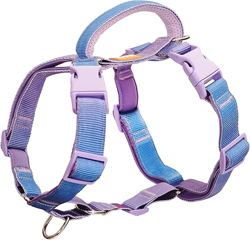 DF Freedom - Arnés para perro Martingale sin tirones, mango de control de seguridad de fácil agarre, arnés de ajuste personalizable de 5 puntos a