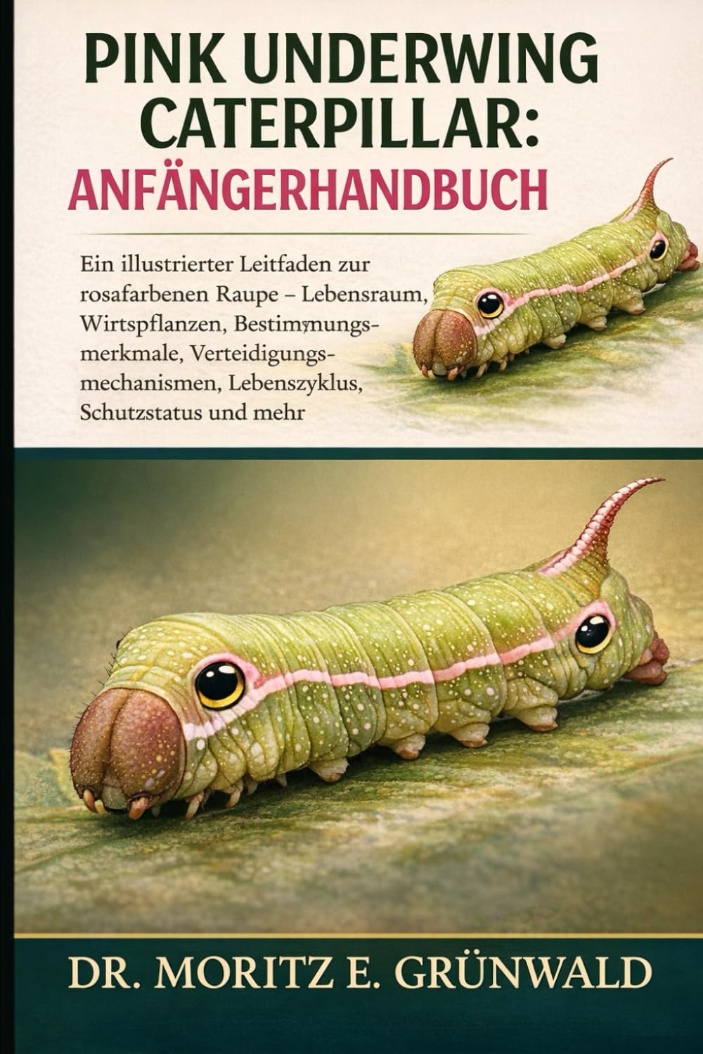PINK UNDERWING CATERPILLAR ANFÄNGERHANDBUCH: Ein illustrierter Leitfaden zur rosafarbenen Raupe – Lebensraum, Wirtspflanzen, Bestimmungsmerkmale, ... Lebenszyklus, Schutzstatus und mehr